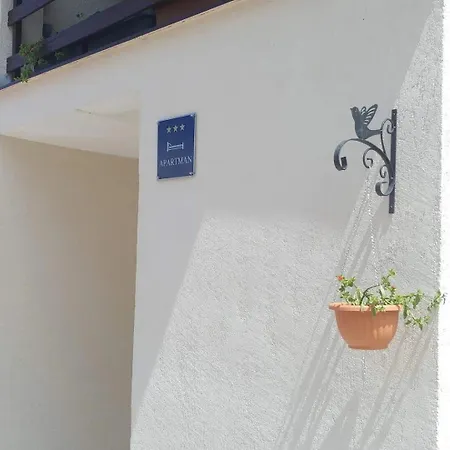 Marasovic 皮罗瓦茨